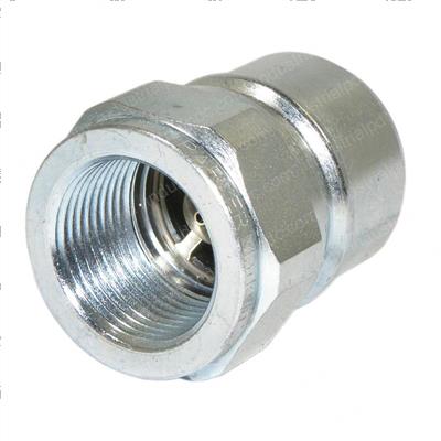 Picture of Nipple