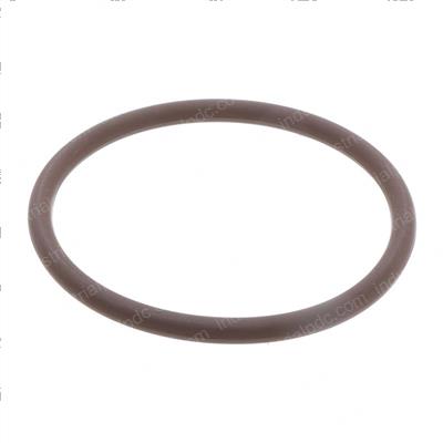 Picture of O-Ring