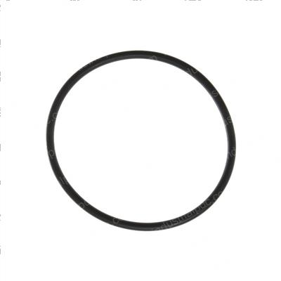 Picture of O-Ring Thermostat Perkin 1004