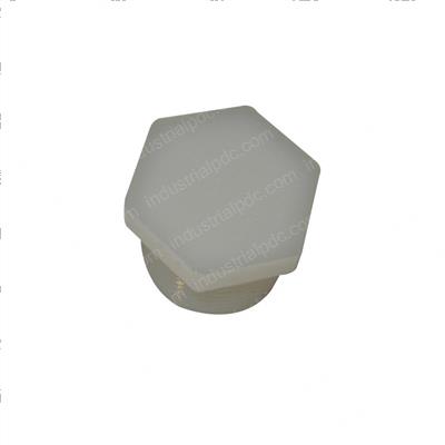 Picture of Fitting - Plstc Plug Pm12