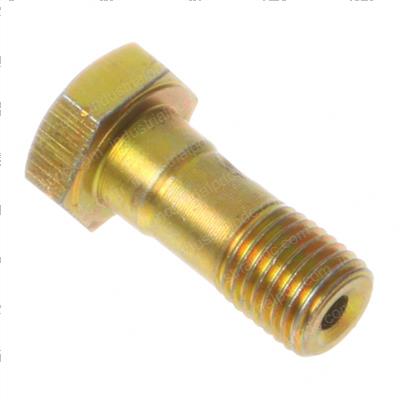 Picture of Banjo Bolt