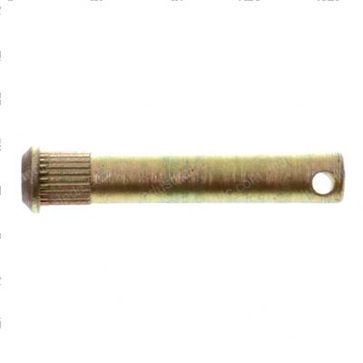 Picture of Pin