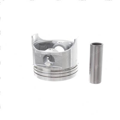 Picture of Piston - .25mm F2