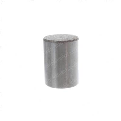 Picture of Plunger