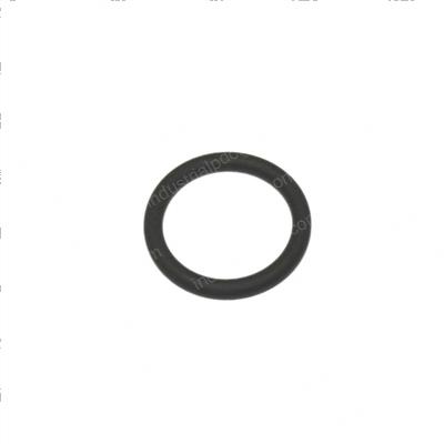 Picture of O-Ring