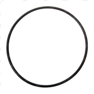 Picture of Seal - Org