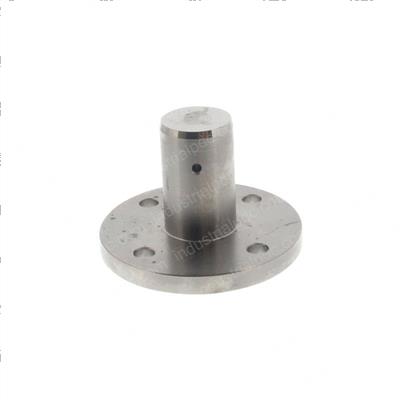 Picture of Pin