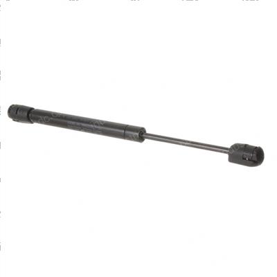 Picture of Gas Strut Controls Door