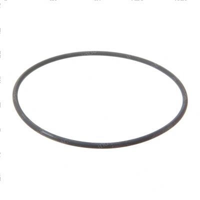 Picture of O Ring