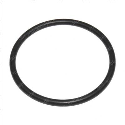 Picture of O-Ring