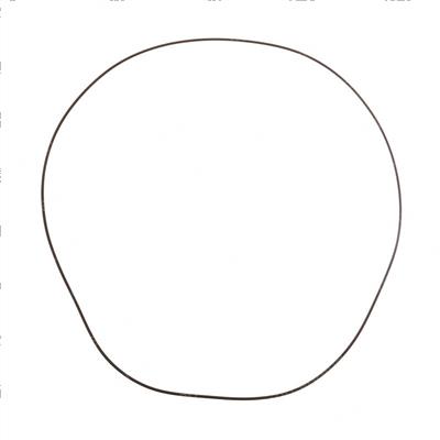 Picture of O-Ring