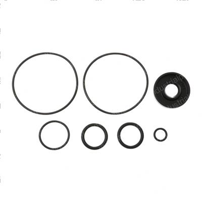 Picture of Seal Kit for 0782-108 Hydmtr