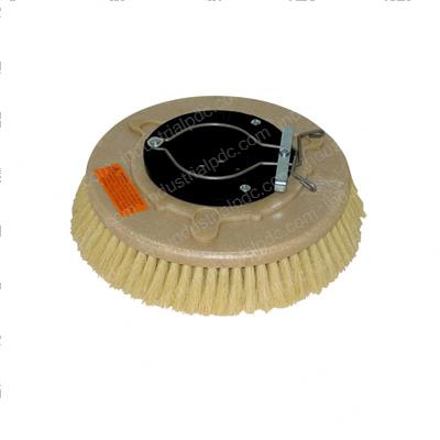 Picture of Brush - 12 in Tampico