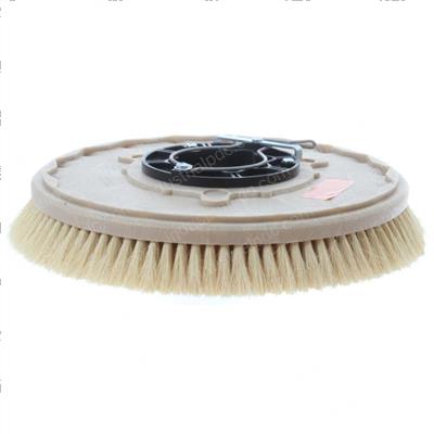 Picture of Brush - 16 in Tampico