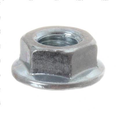 Picture of Nut - Flange - Serrated