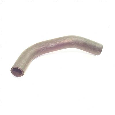 Picture of Hose - Radiator Lower