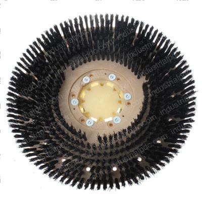 Picture of Brush 17 Inch