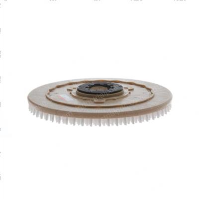 Picture of Brush - 20 in Poly