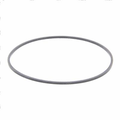 Picture of Ring - Backup