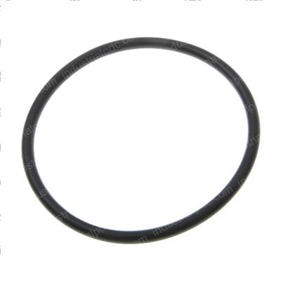 Picture of O-Ring