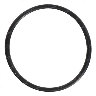 Picture of O-Ring