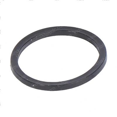Picture of Ring - Backup