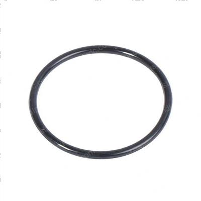 Picture of O-Ring