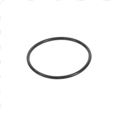 Picture of O-Ring