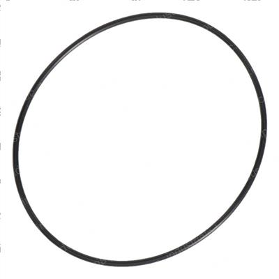 Picture of O-Ring