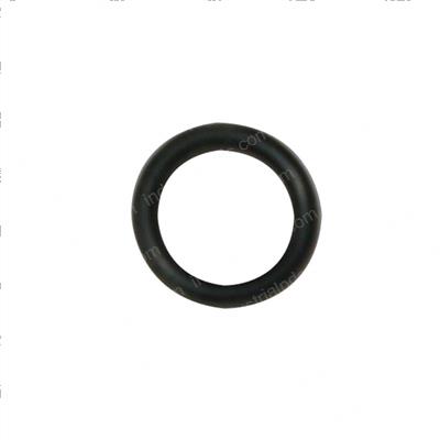 Picture of O-Ring
