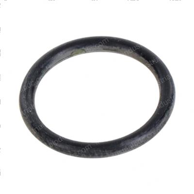 Picture of O-Ring