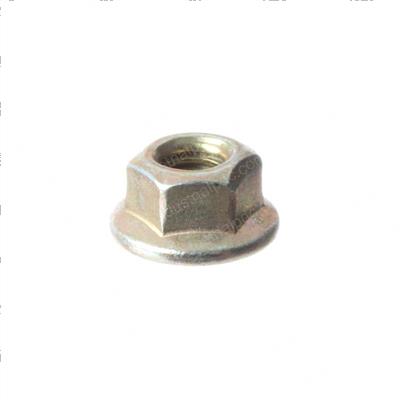 Picture of Nut