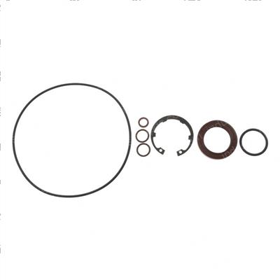 Picture of Seal Kit-Drive Motor