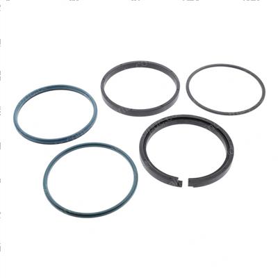 Picture of Seal Assy- 5.50"piston Hydrolo