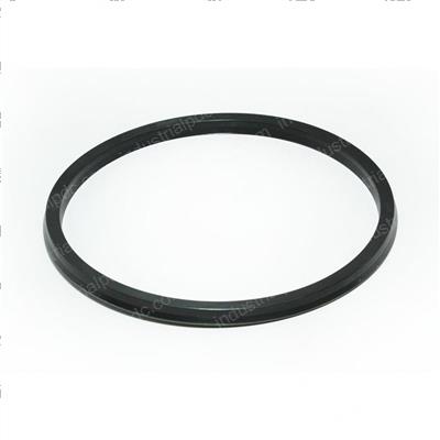 Picture of Seal - Lip