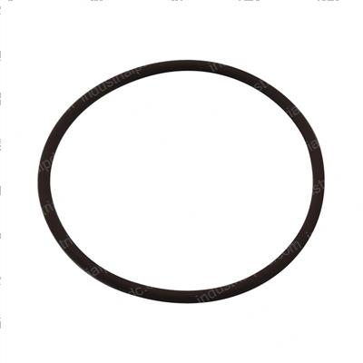 Picture of O-Ring
