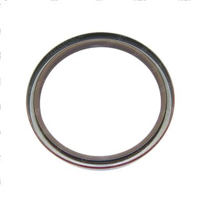 Picture of Seal