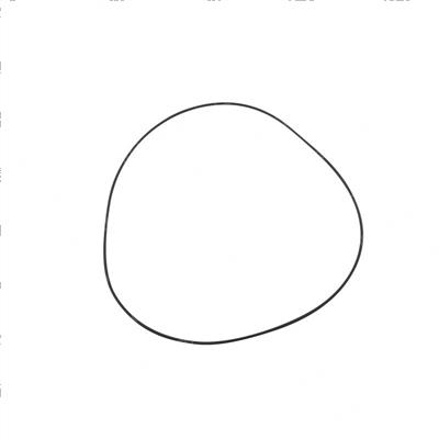 Picture of O-Ring