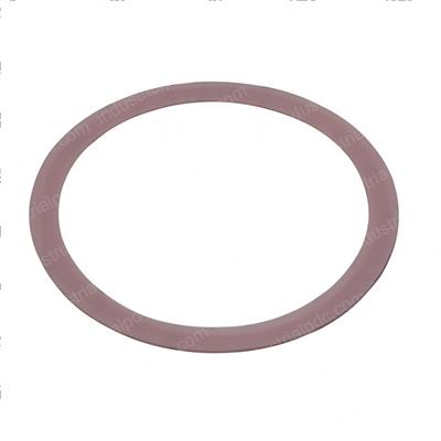 Picture of Shim - Plastic .013