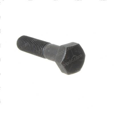Picture of Bolt