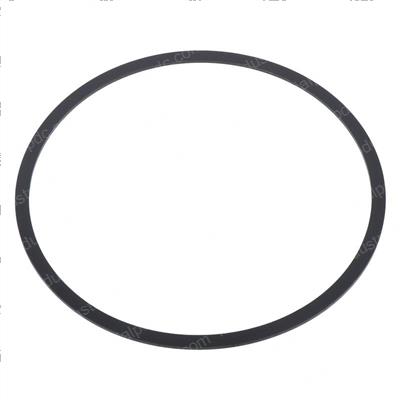 Picture of Ring, Backup