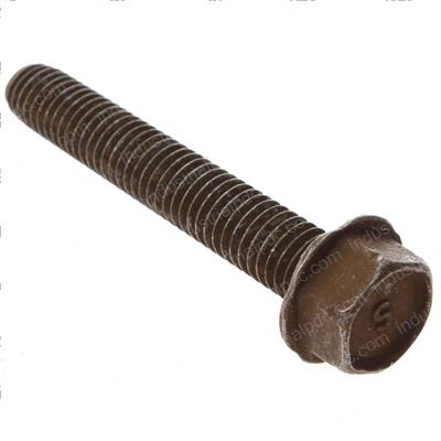 Picture of Bolt