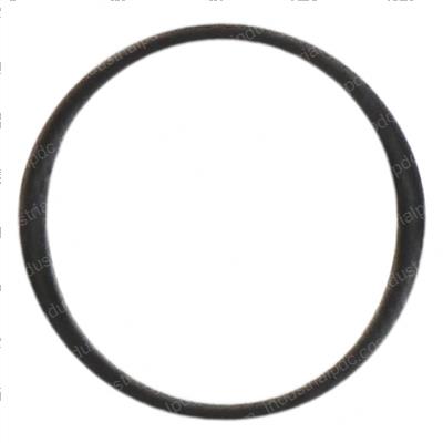 Picture of O-Ring