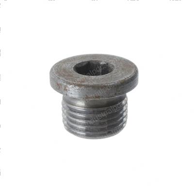 Picture of Plug