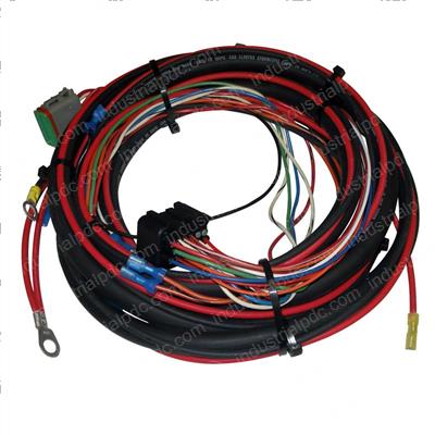 Picture of Harness Dual Fuel J4