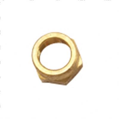 Picture of Nut - 5/16 Poly Tube