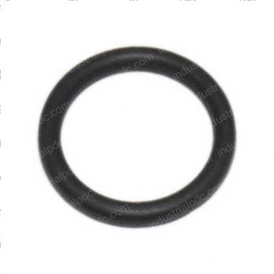 Picture of O Ring 10