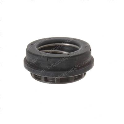 Picture of Seal