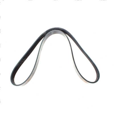 Picture of Belt - Serpentine