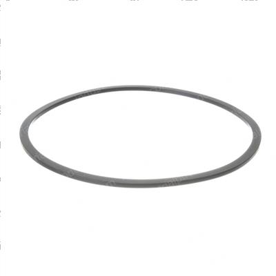 Picture of Seal